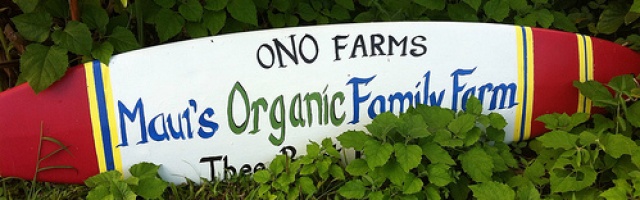 Discovering delicious organic tropical fruit at Maui’s Ono Organic Farm