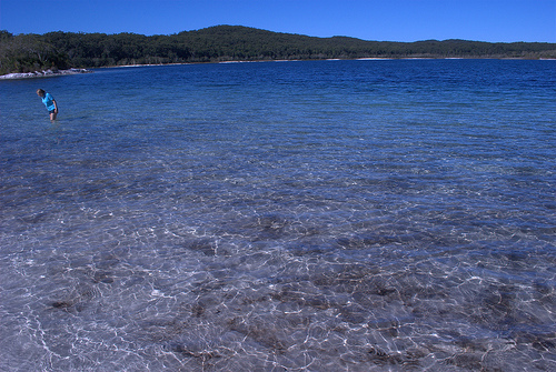 Fraser Island, Lake McKenzie