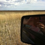 southaustraliaroadtrip