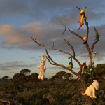Quick Guide: How to Survive the Nullarbor