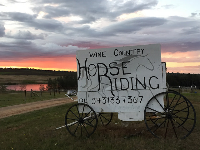 Horseback riding at Hunter Valley Resort