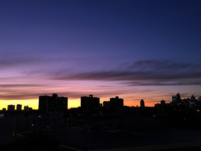 Sydney city skyline sunset